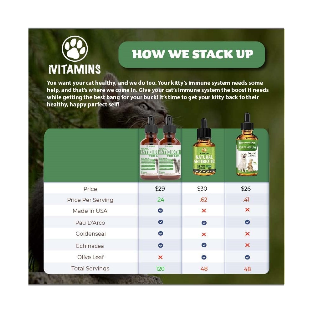 Suplementos para gatos, Antibióticos para gatos