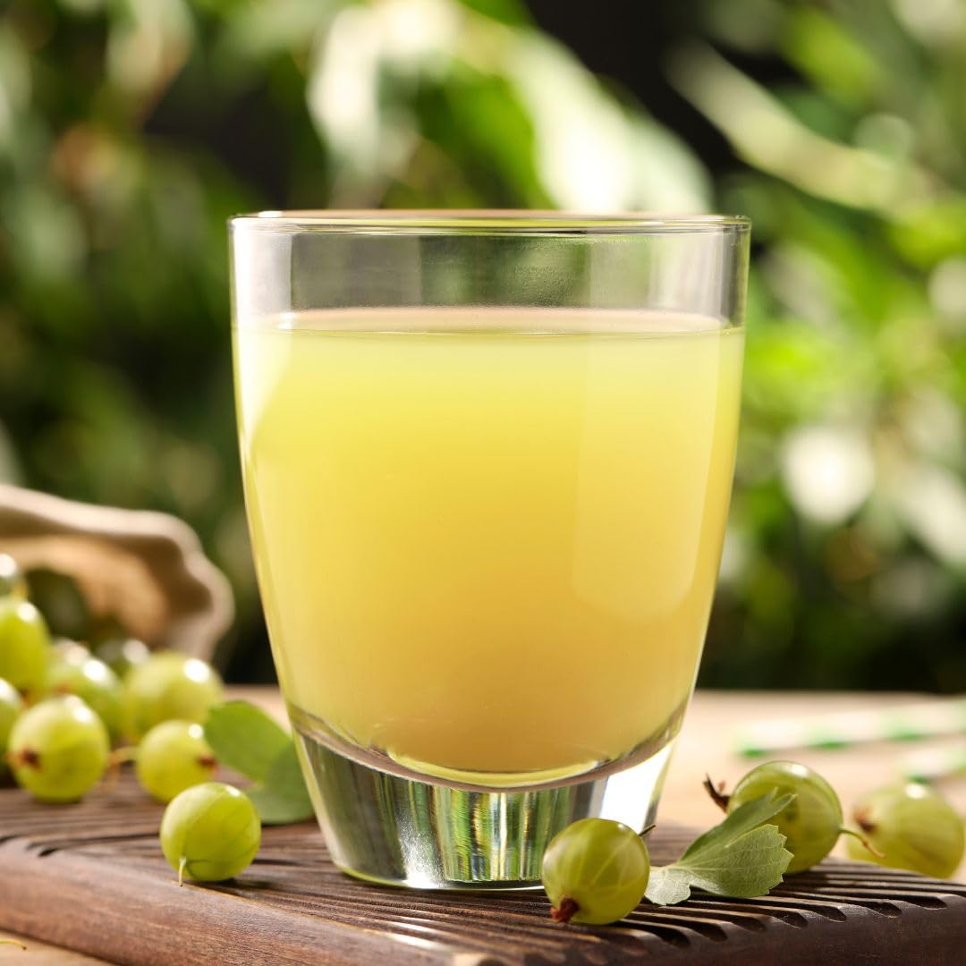 Polvo orgánico de Amla USDA, rico en vitamina C y antioxidantes