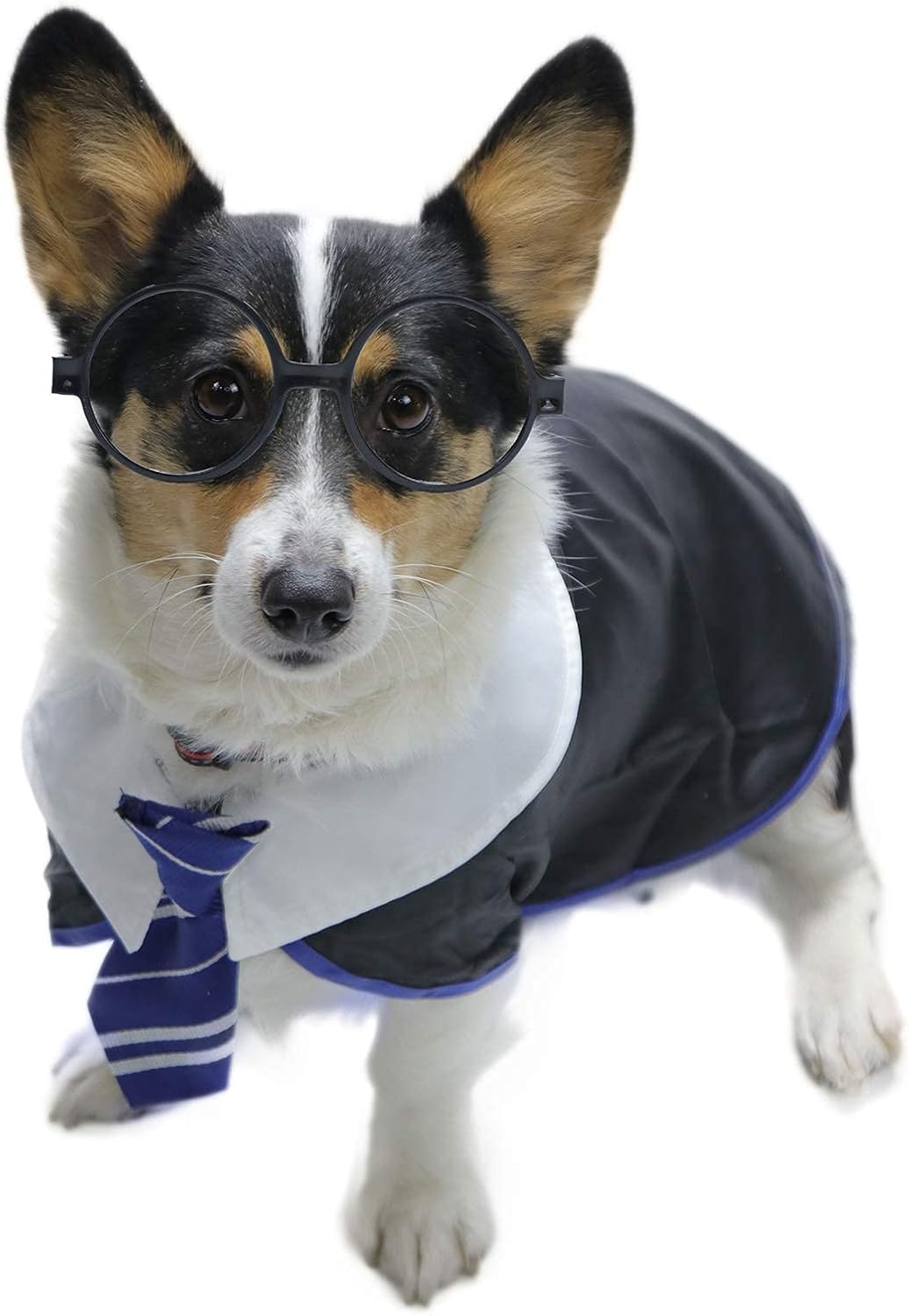 Disfraces de gato mago talla S