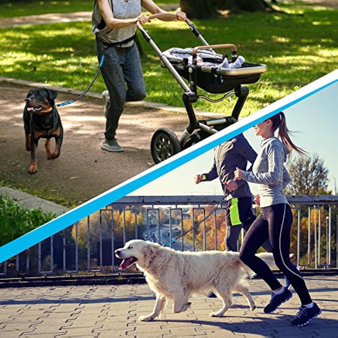 SparklyPets Correa para perro manos libres para perros