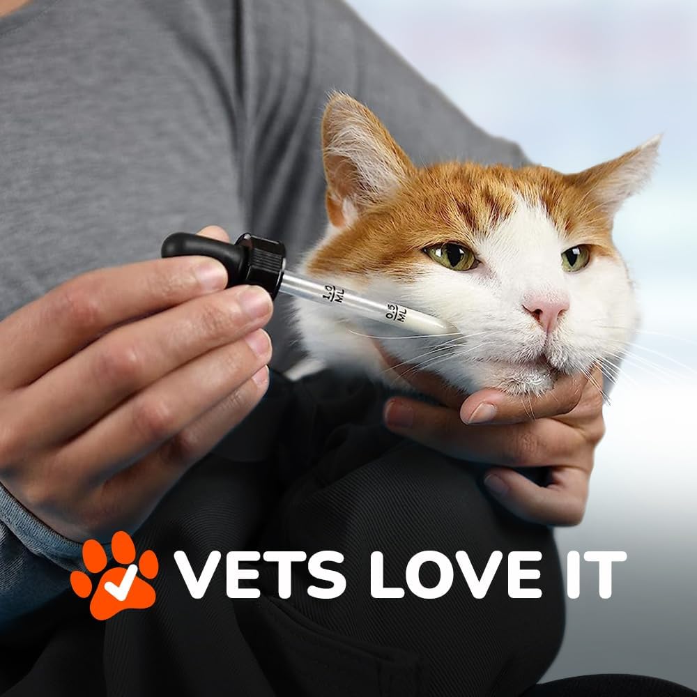 Transportador Cómodo para Gatos, Cozy Comfort, Gran, Suave