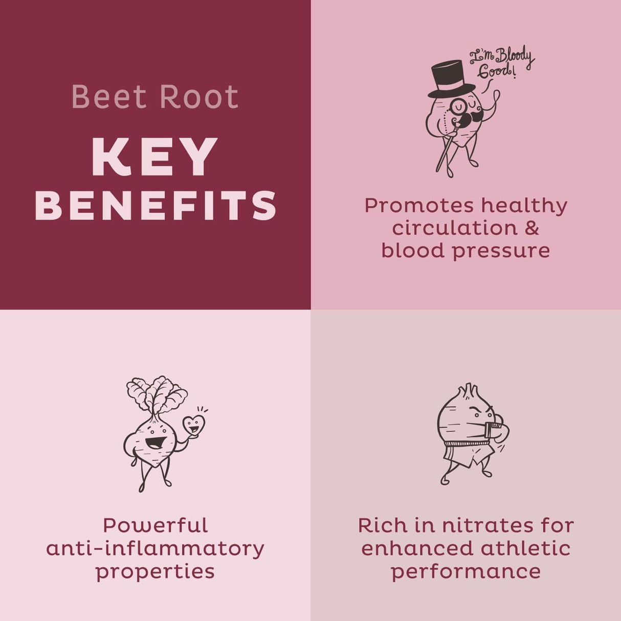 Suplementos Betabel orgánico Polvo de betabel natural