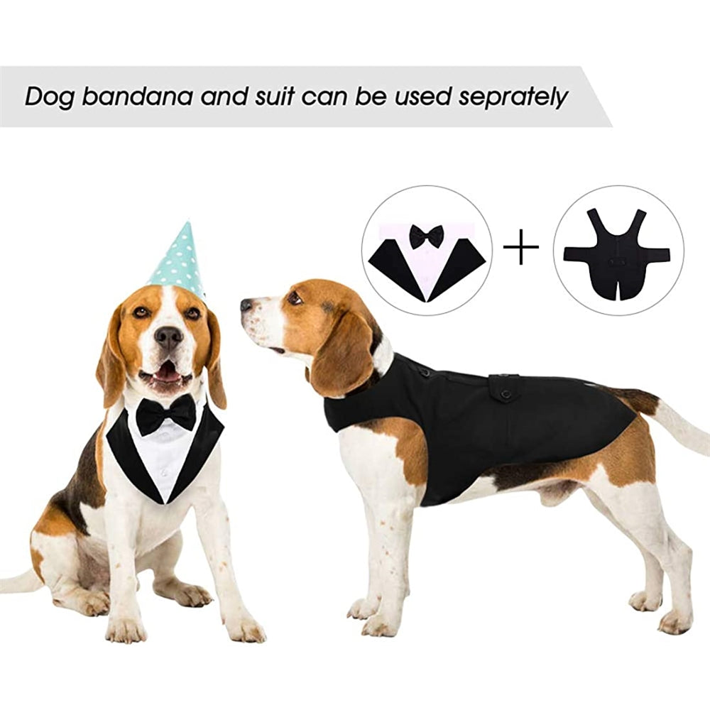 Disfraces de Atuendo para perros grandes talla XL negro