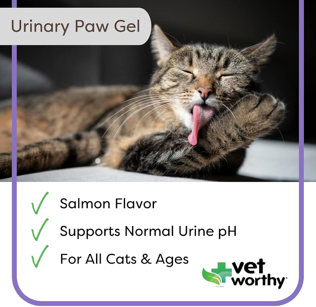 Suplementos Gel urinario para gatos para apoyar la salud
