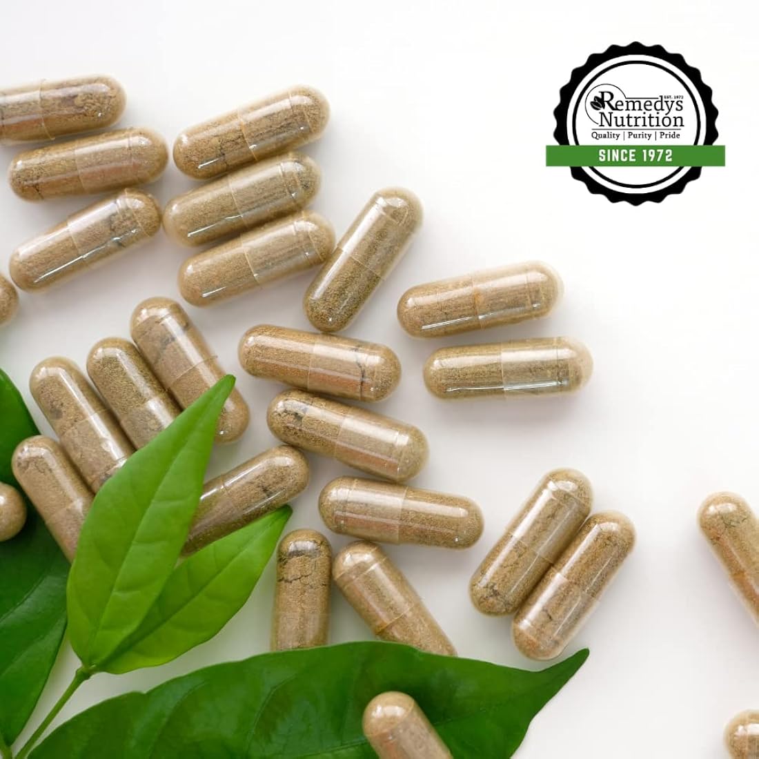 Suplemento de hierbas Extracto de alfalfa en polvo 1,000 mg