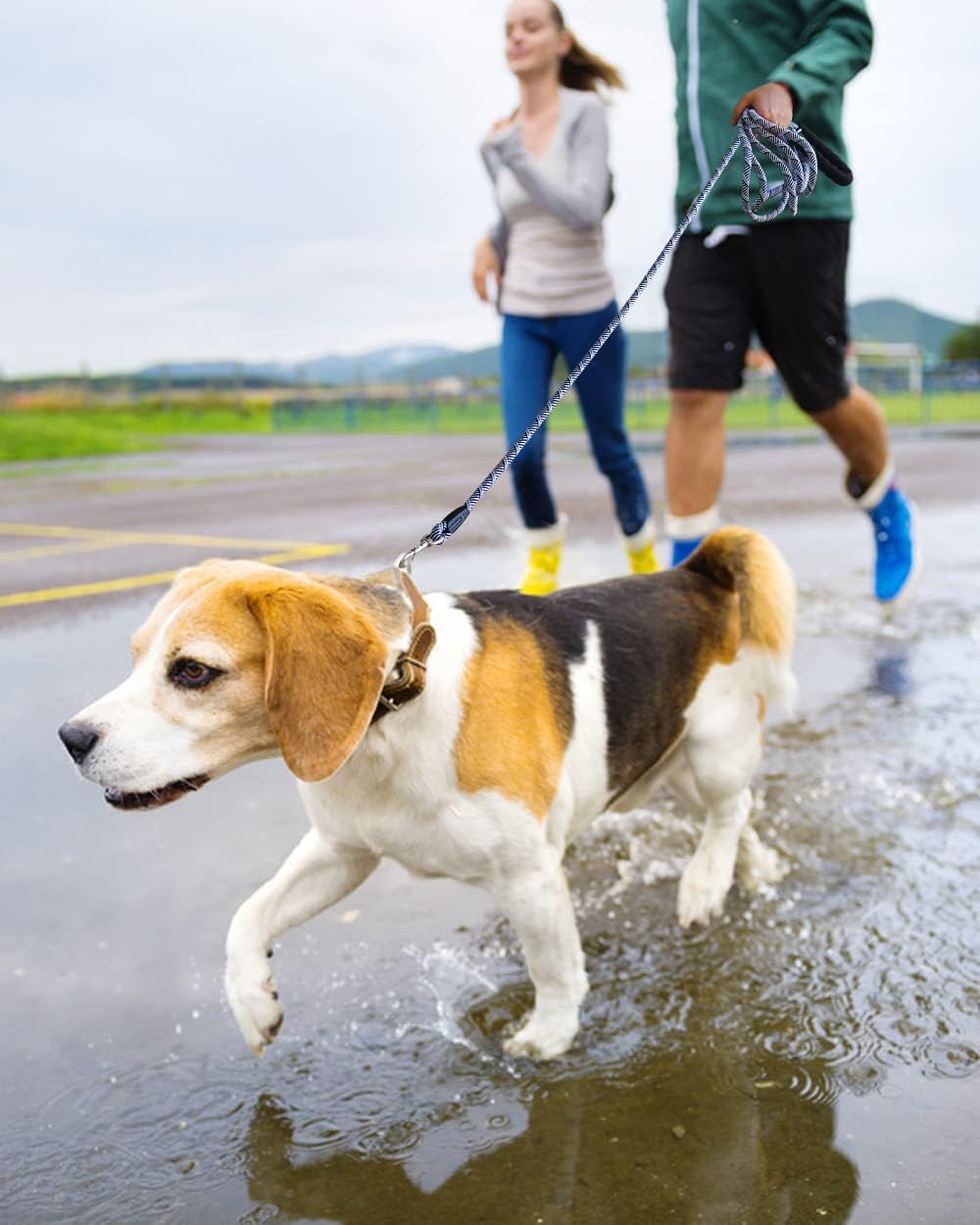 Correa Larga para Perros con Hilo Reflectante, 15FT/30FT/50FT