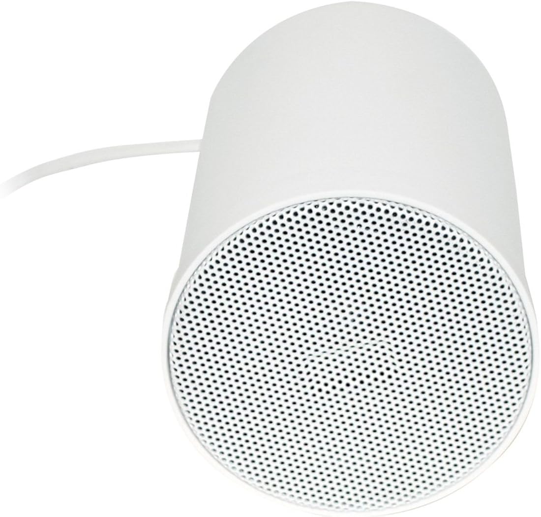 Parlantes PYLE PRJS56W Altavoz colgante para techo 70 V 20 W
