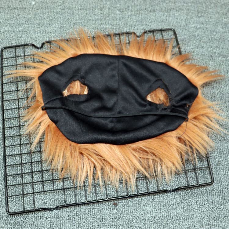 Disfraz de mascota mortal para perro, disfraz de perro