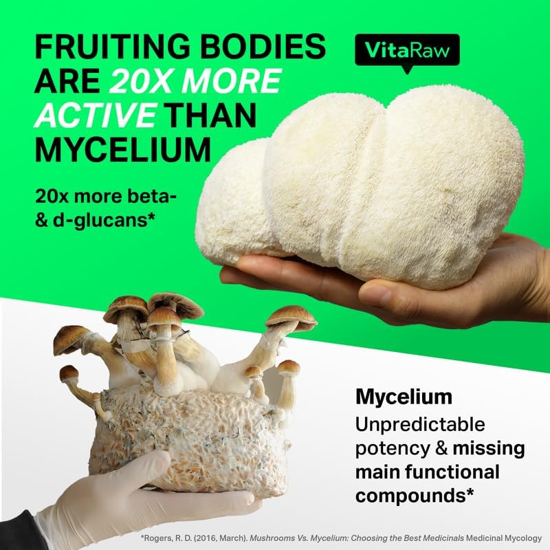 Suplemento Orgánico de Melena de León - Cápsulas Nootrópicas