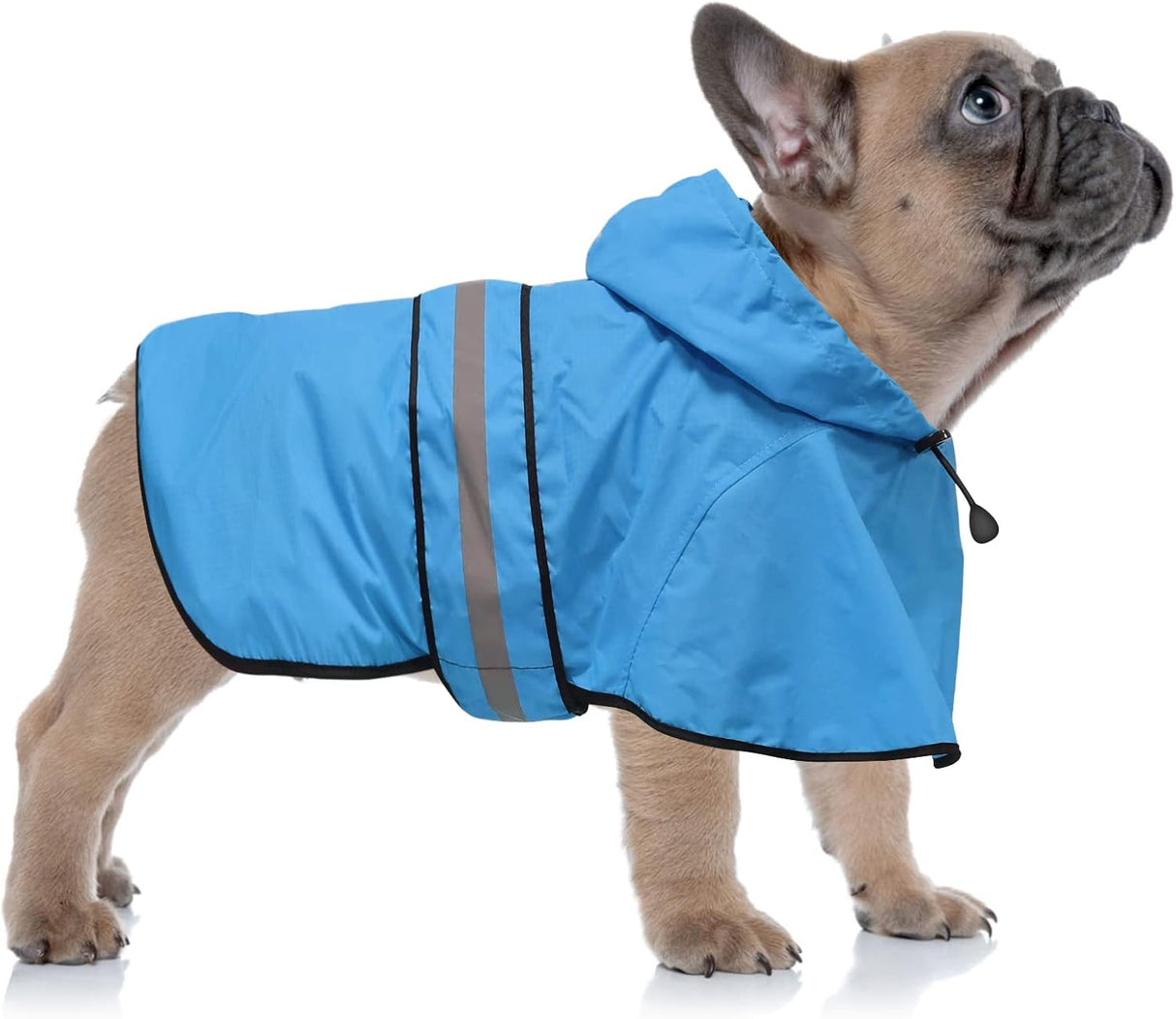 Chubasquero Reflectante para Perros - Impermeable, Ajustable, Mediano