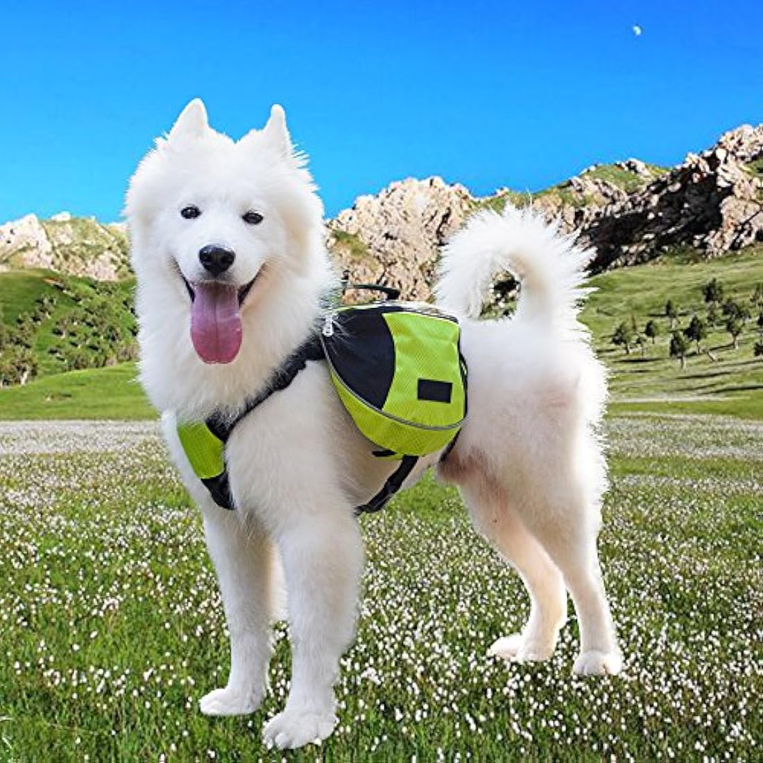 Alforjas de poliéster para perro.