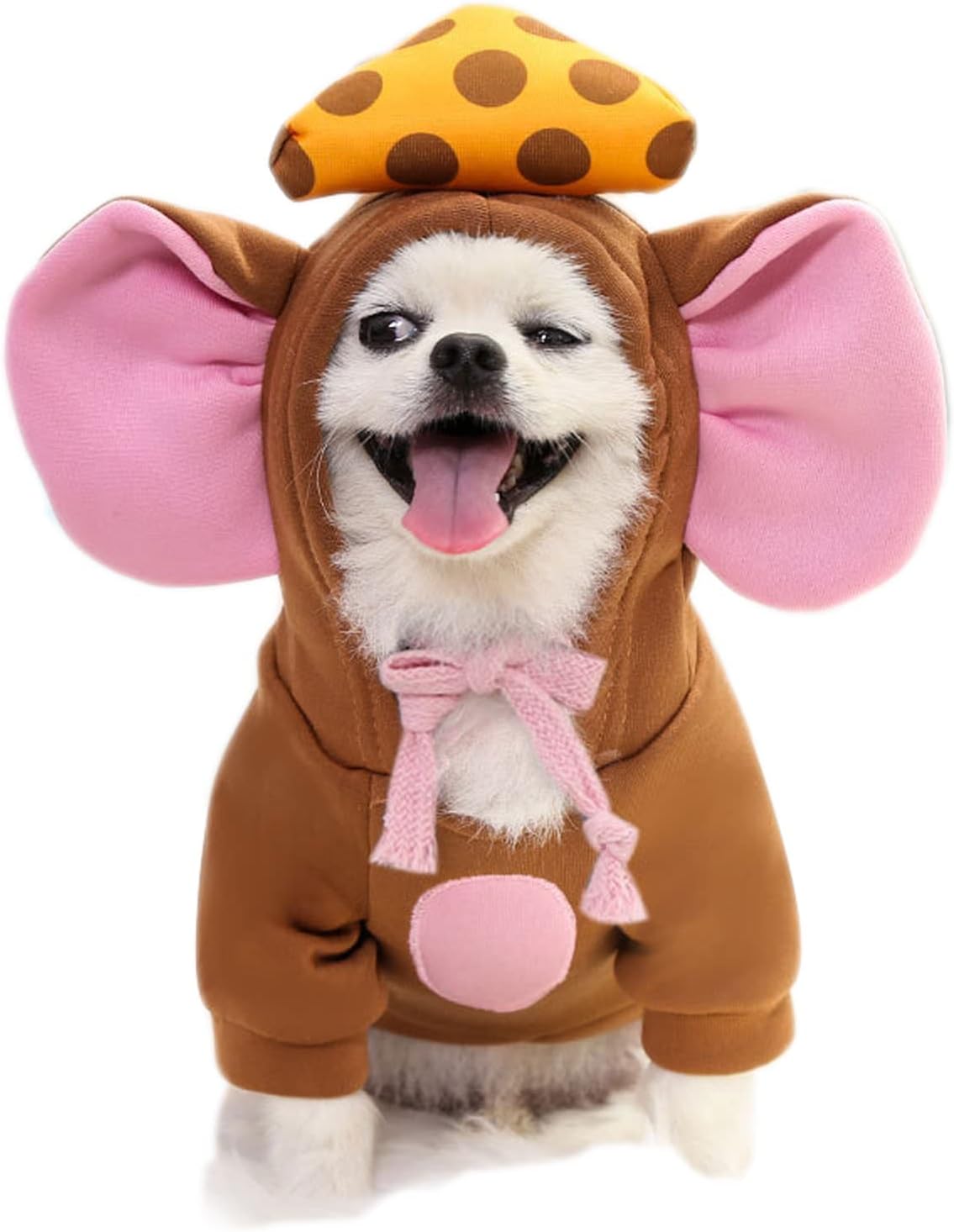 Disfraces para perros de frutas talla XS