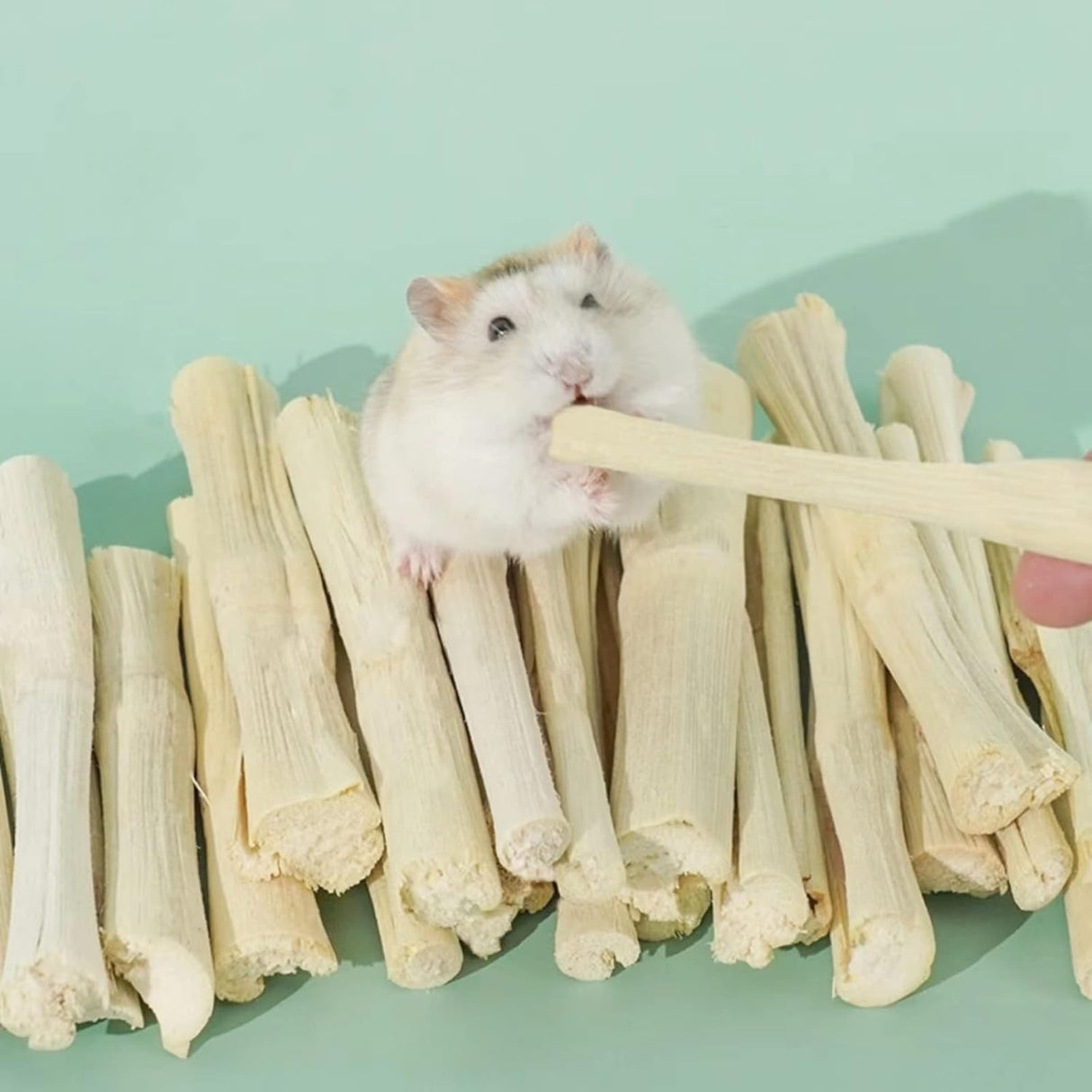 Snacks de Bambú 300g para Conejos y Roedores - Molar Treats