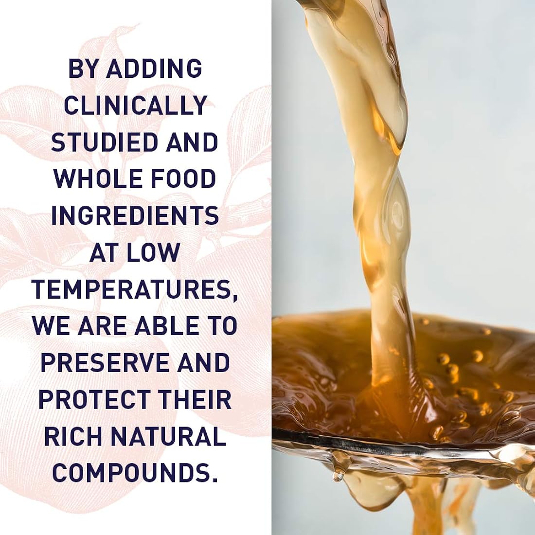 Suplementos de vinagre de sidra de manzana Vitaminas