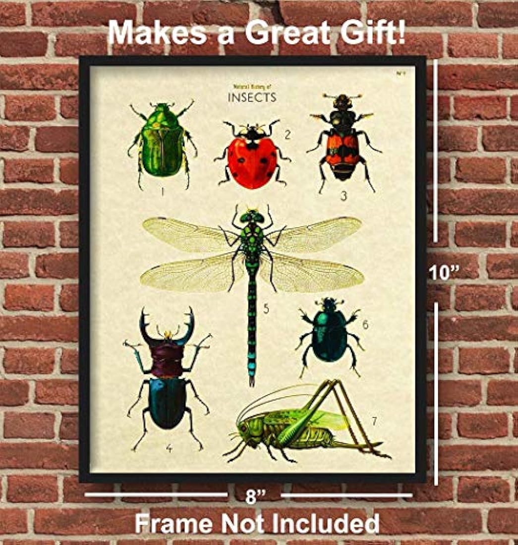 póster de arte de pared 8x10 póster de error científico