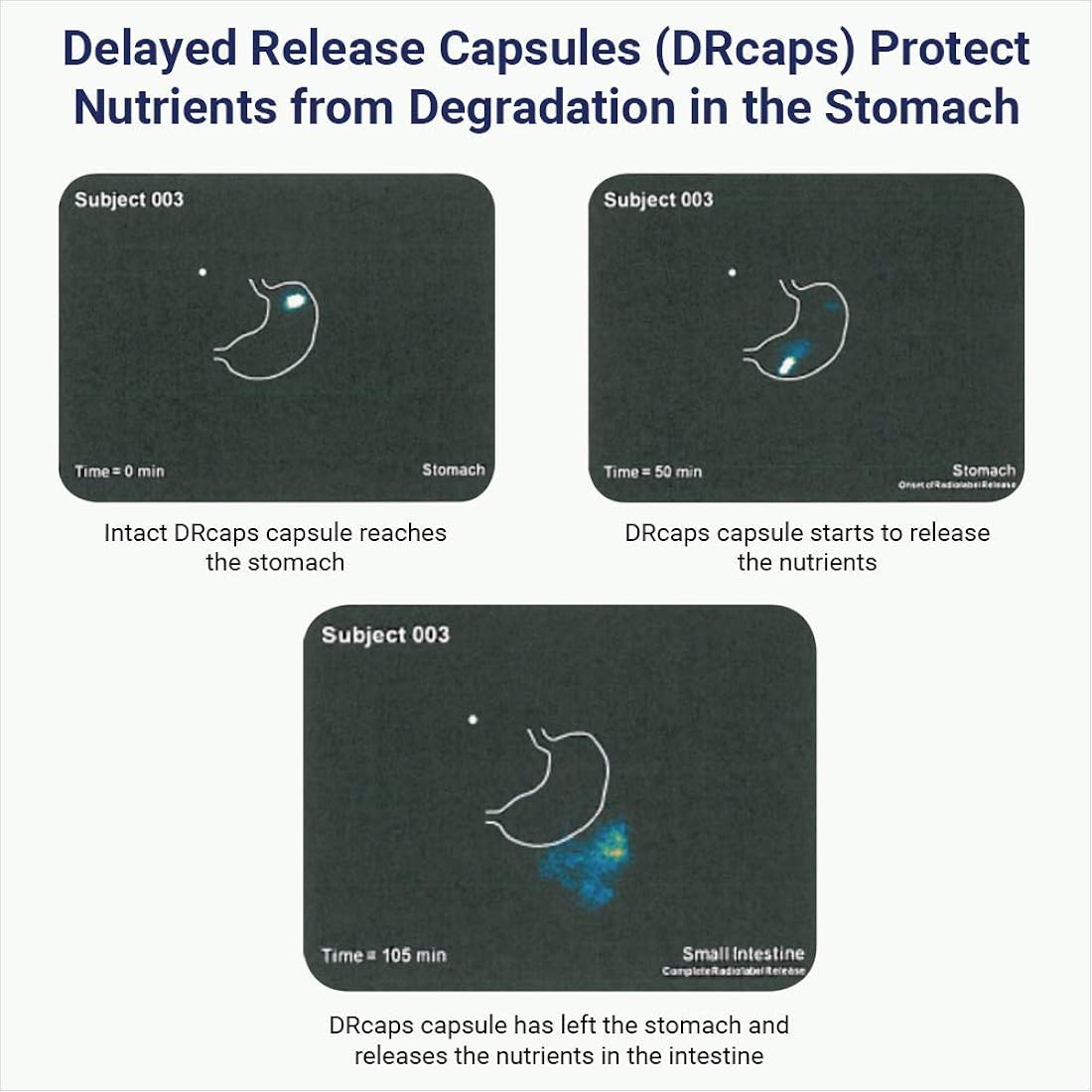 Suplemento NADH + CoQ10 60 días de suministro de NADH