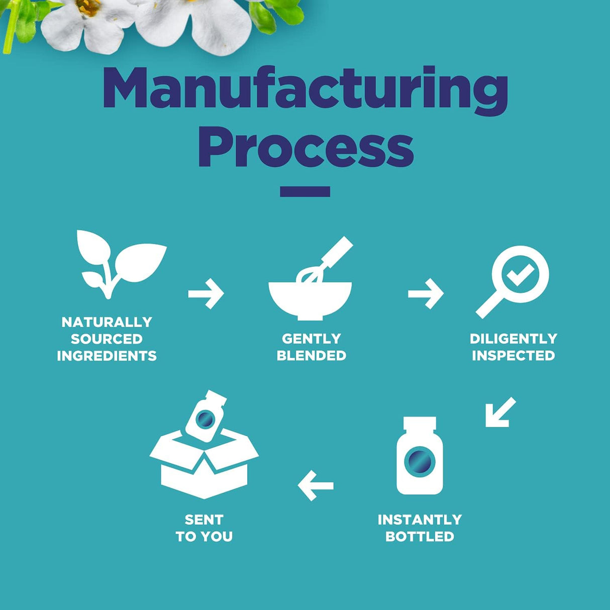 Suplementos Alimenticios para claridad mental