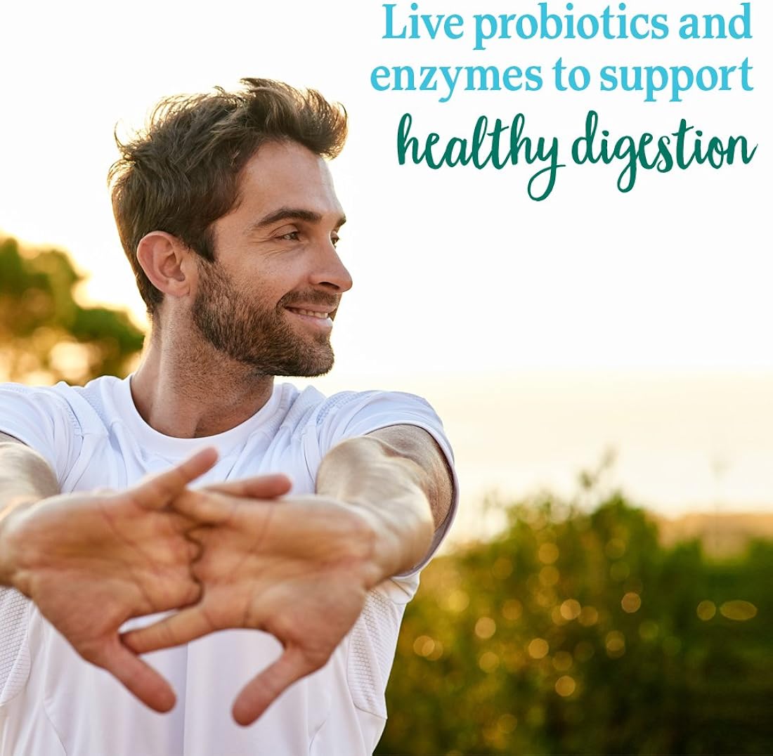 Suplemento Complemento vegetal de alimentos enteros Polvo