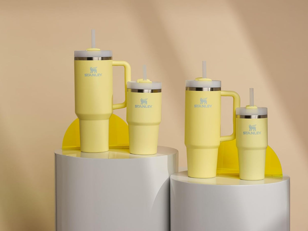 Vaso aislado al vacío de acero inoxidable con tapa y popote para agua, té helado o café