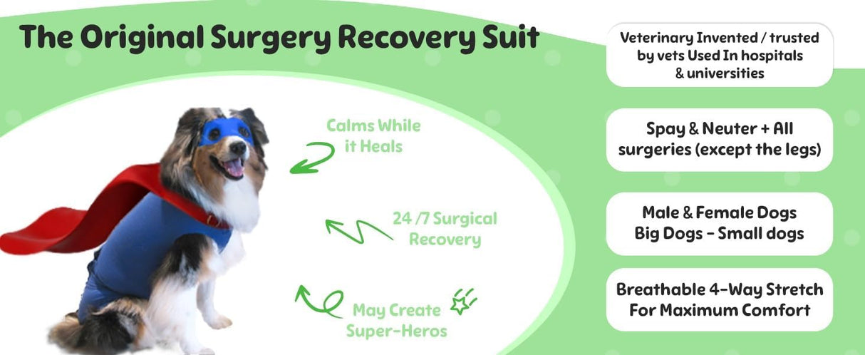 SurgiSnuggly Traje Quirúrgico para Perros, Cono Alternativo, SL