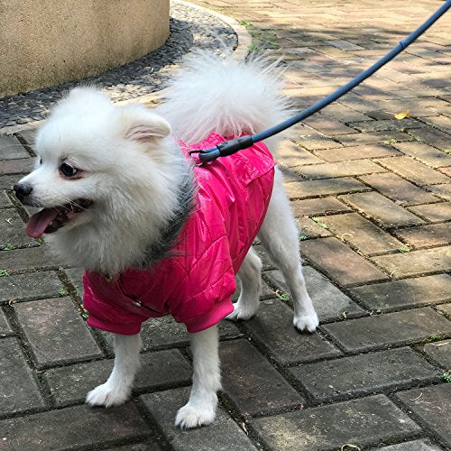 LESYPET Abrigo de invierno cálido para perro acolchado