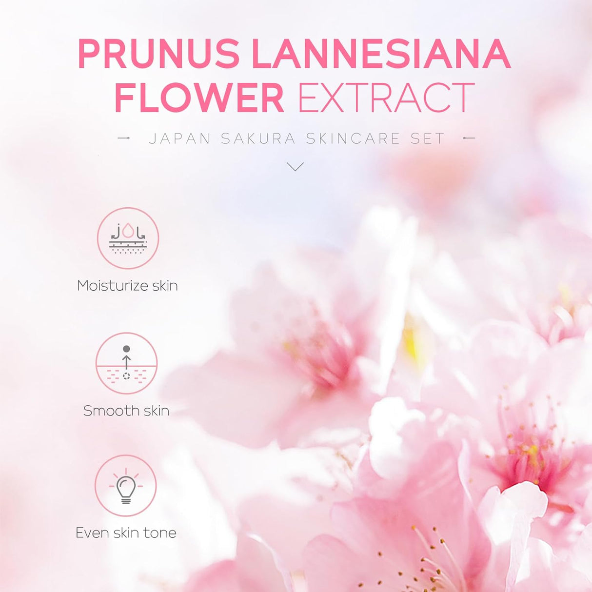 Kit Cuidado Piel Sakura Japón Mujeres con Limpiador y Cremas