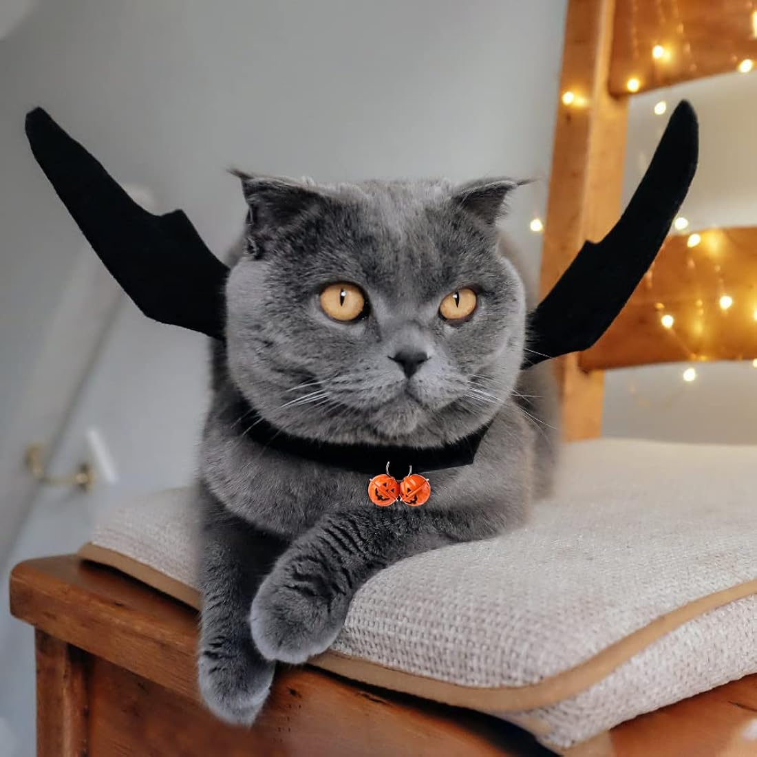 Disfraces de Halloween d alas de murciélago talla única