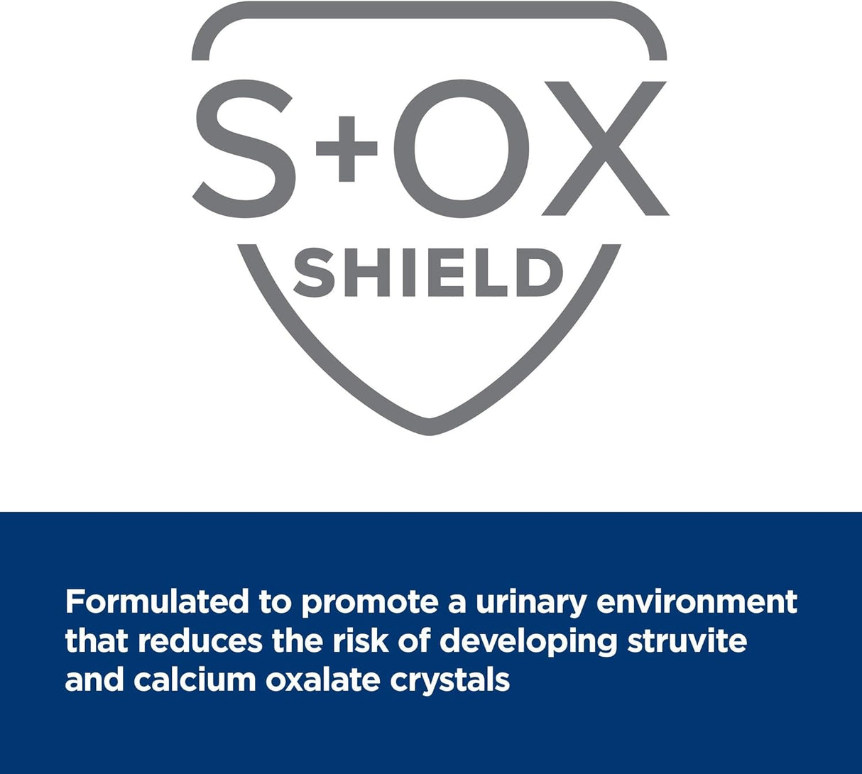 Alimento para Perros seco con sabor a pollo