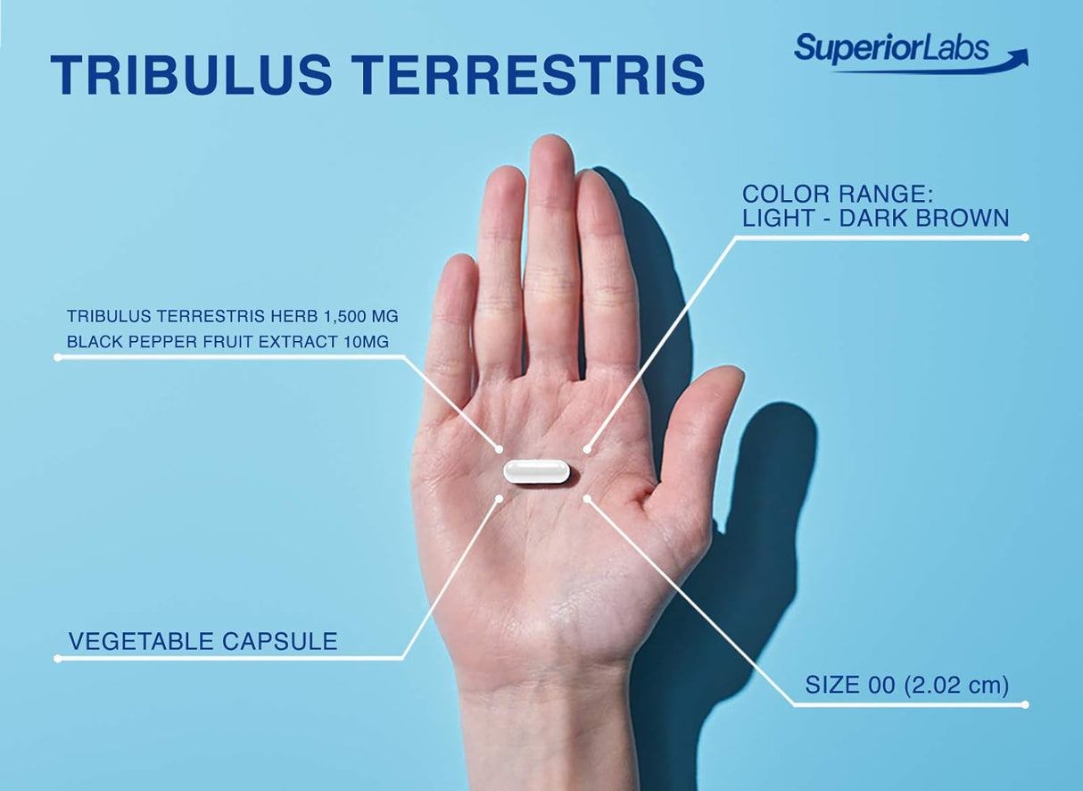 Suplemento Tribulus Terrestris bloqueador de cortisol 180u