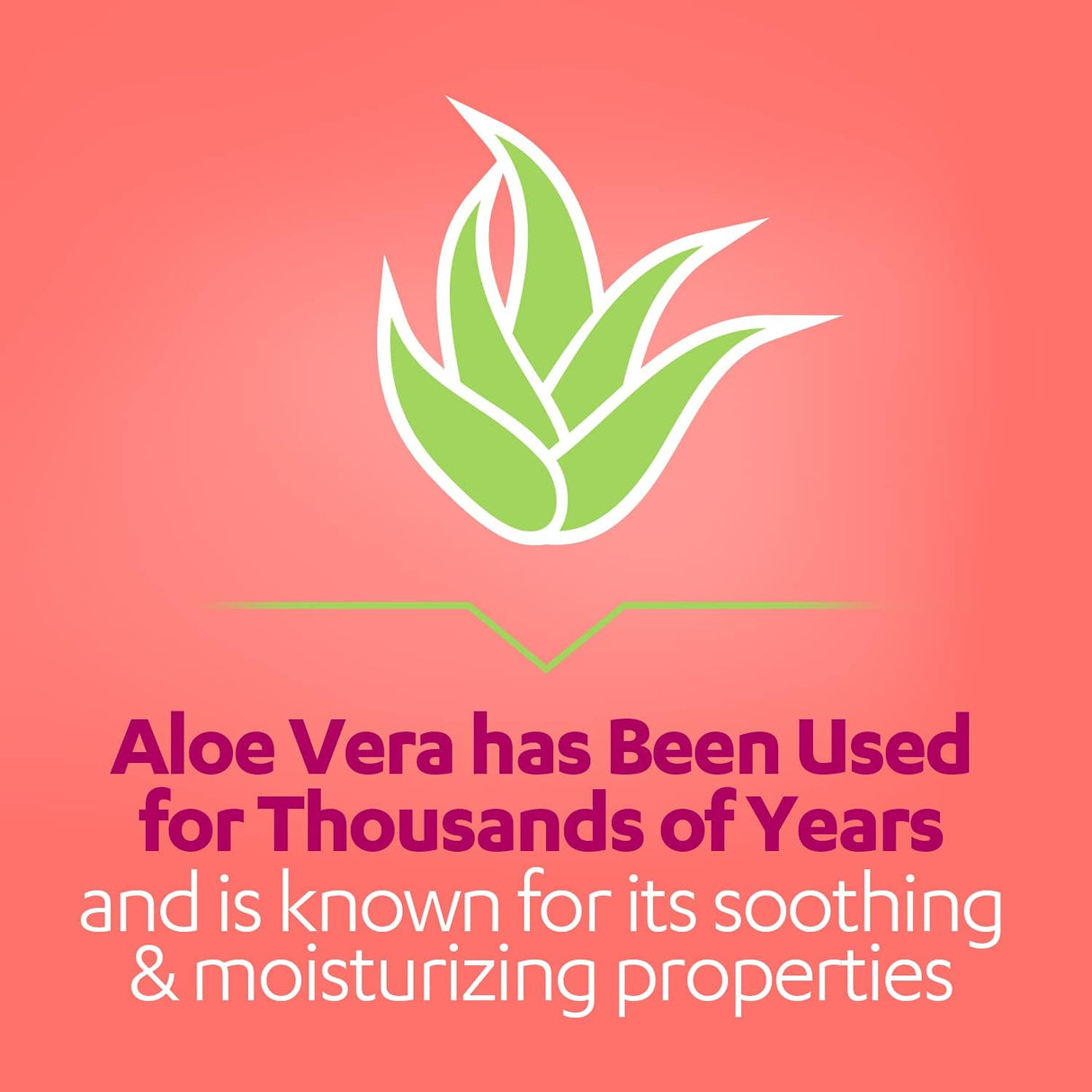 Suplementos Alimenticios Supositorios vaginales ácido bórico