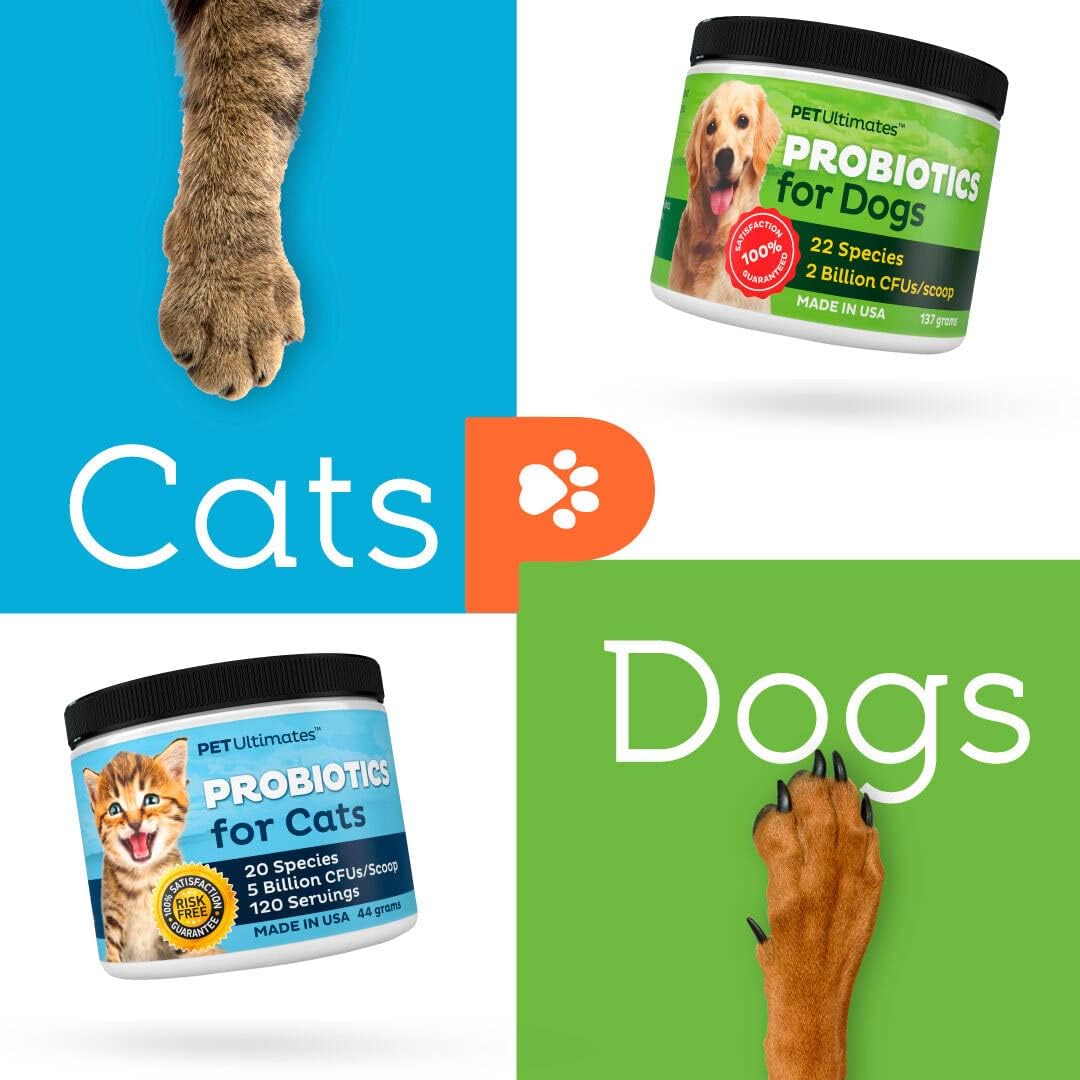 Probióticos para gatos