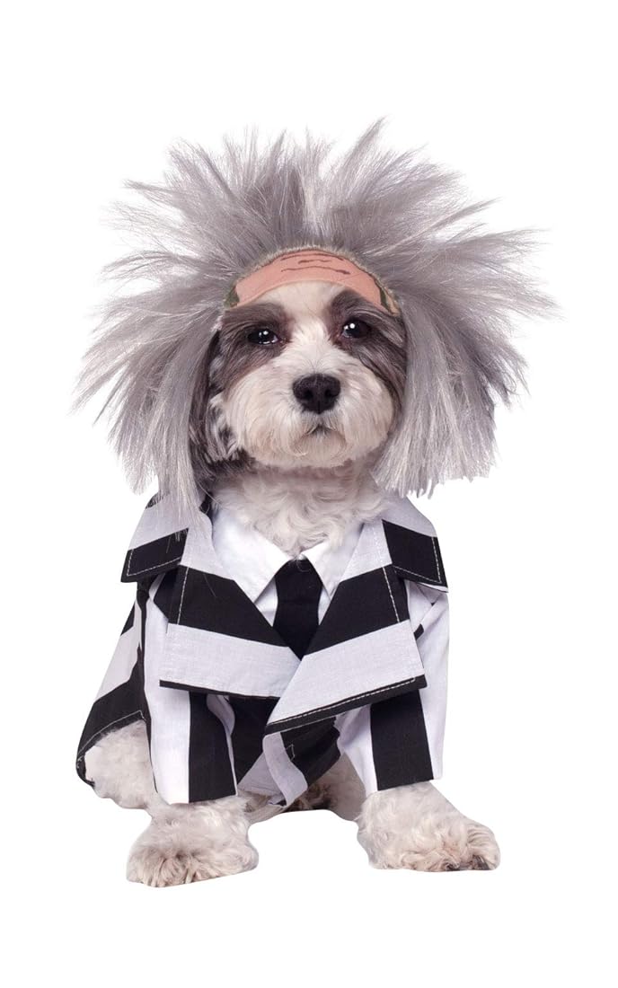 Disfraz de mascota Beetlejuice de Rubie