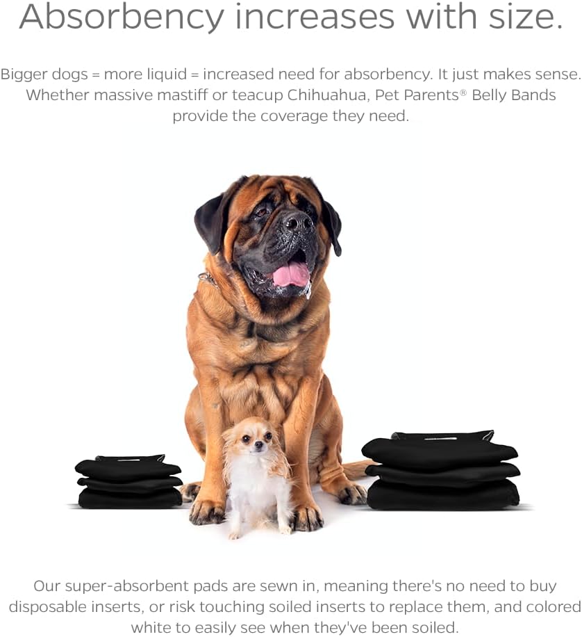 Pet Parents Bandas lavable absorción para perros machos