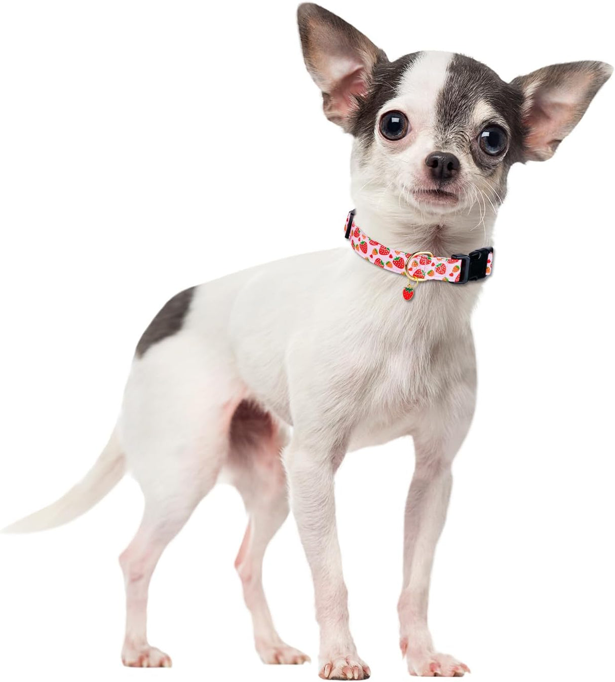 Collar de algodón para perros - Diseño fresa - Ajustable y suave