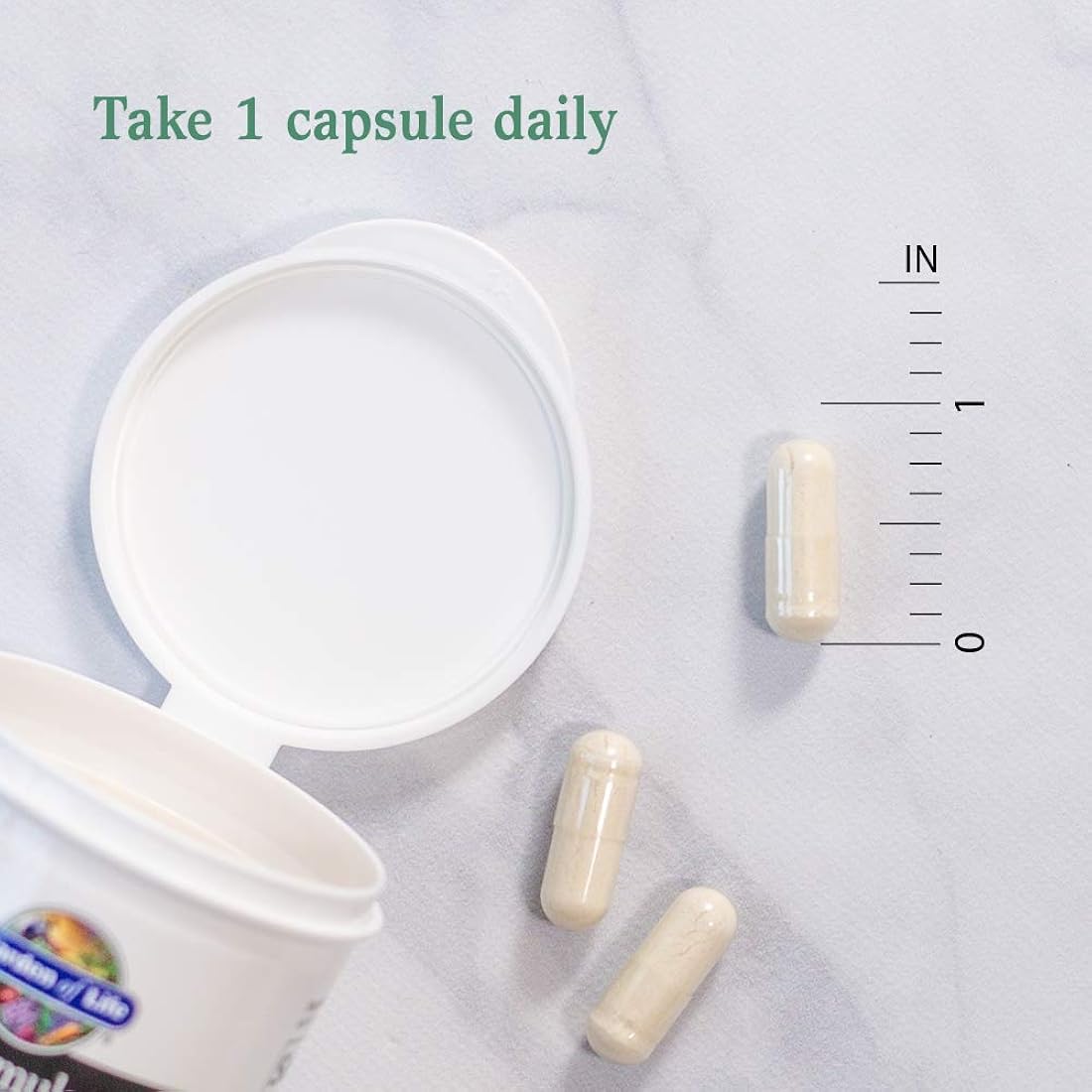 Suplementos Alimenticios suplemento probiótico