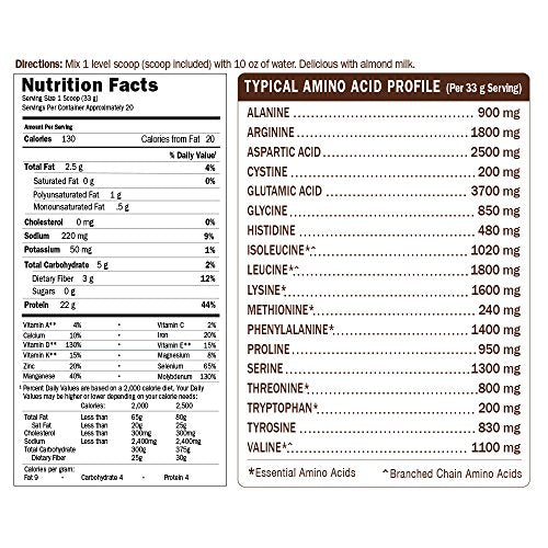 Polvo de proteína vegana orgánica con vitaminas y probiótico