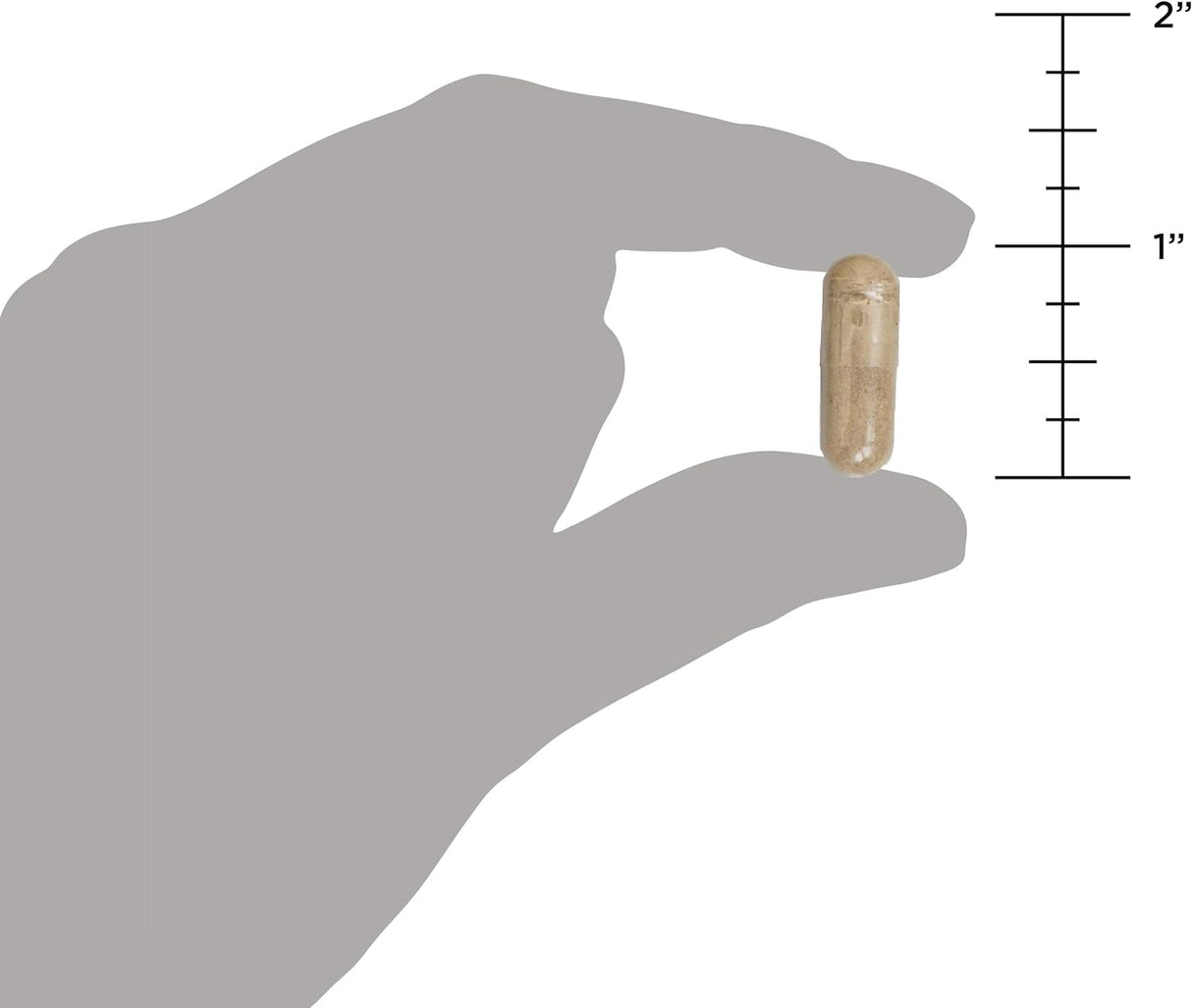 Probióticos Ultimate 100 mil millones UFC, apoyo digestivo