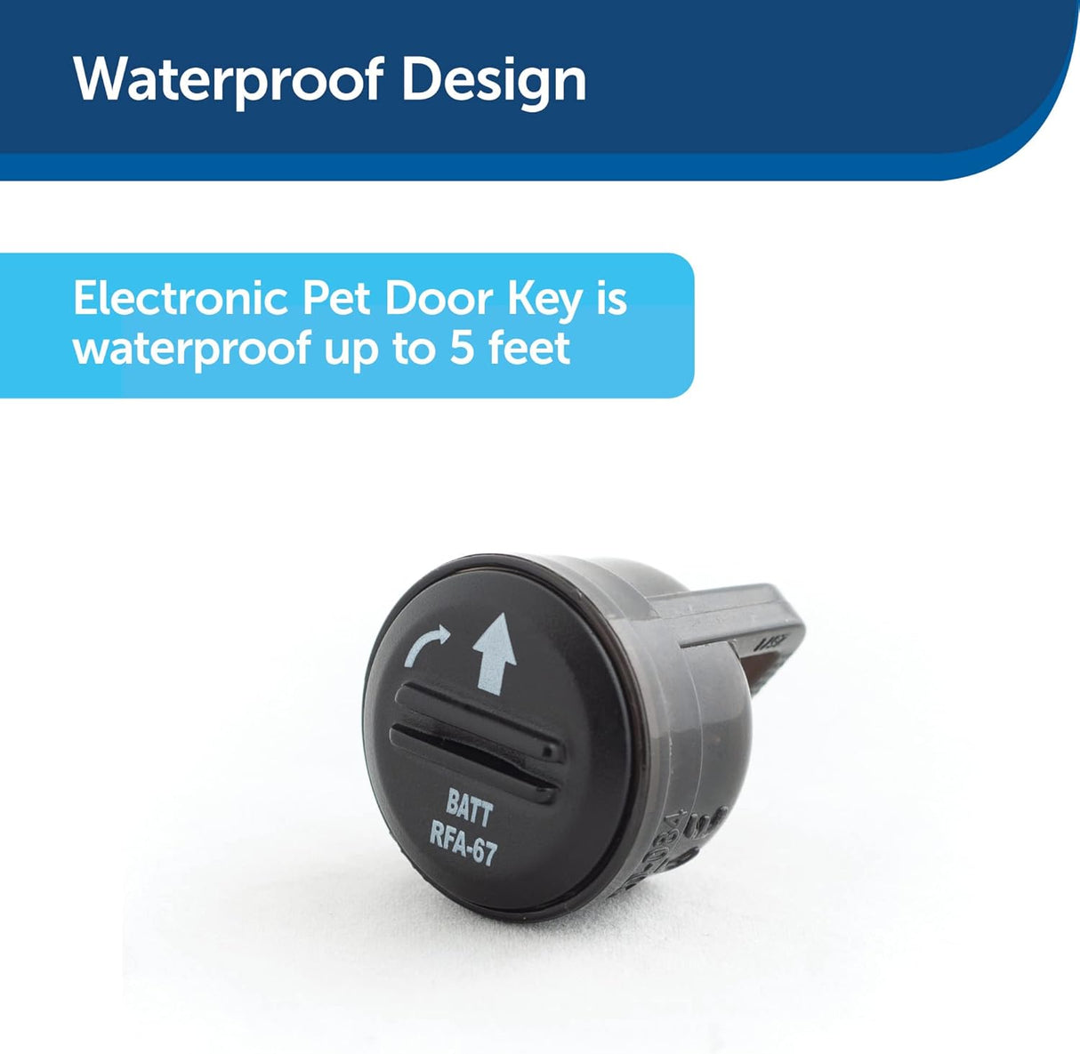 Llaves de gato Se adapta a identificación de collar