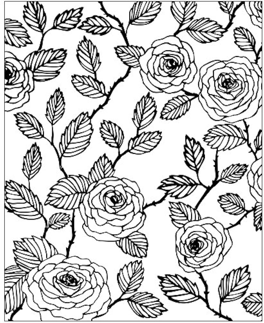 ZOCO paquete de regalo: 3 libros para colorear para adultos