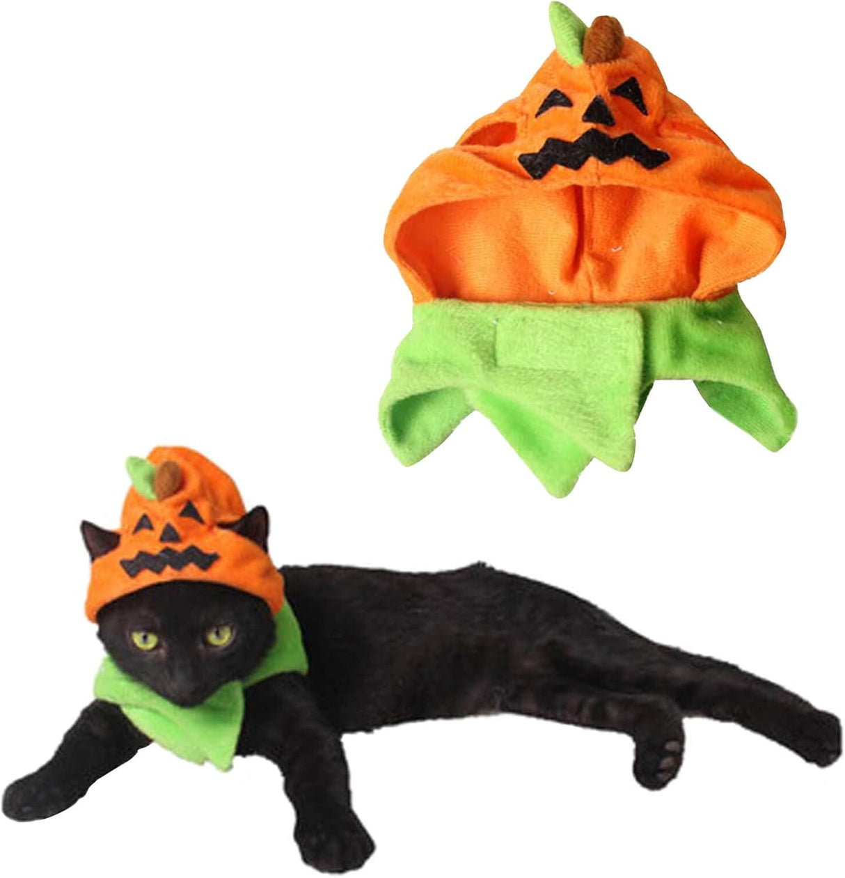 Gato Orgrimmar Sombrero Halloween Collar Cat Cosplay
