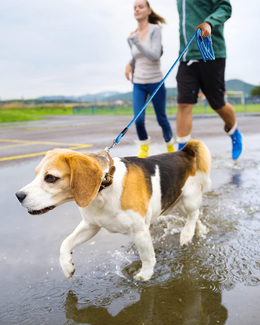 Correa Larga para Entrenamiento de Perros con Hilo