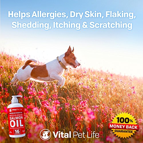 Aceite de salmón para perros gatos y caballos