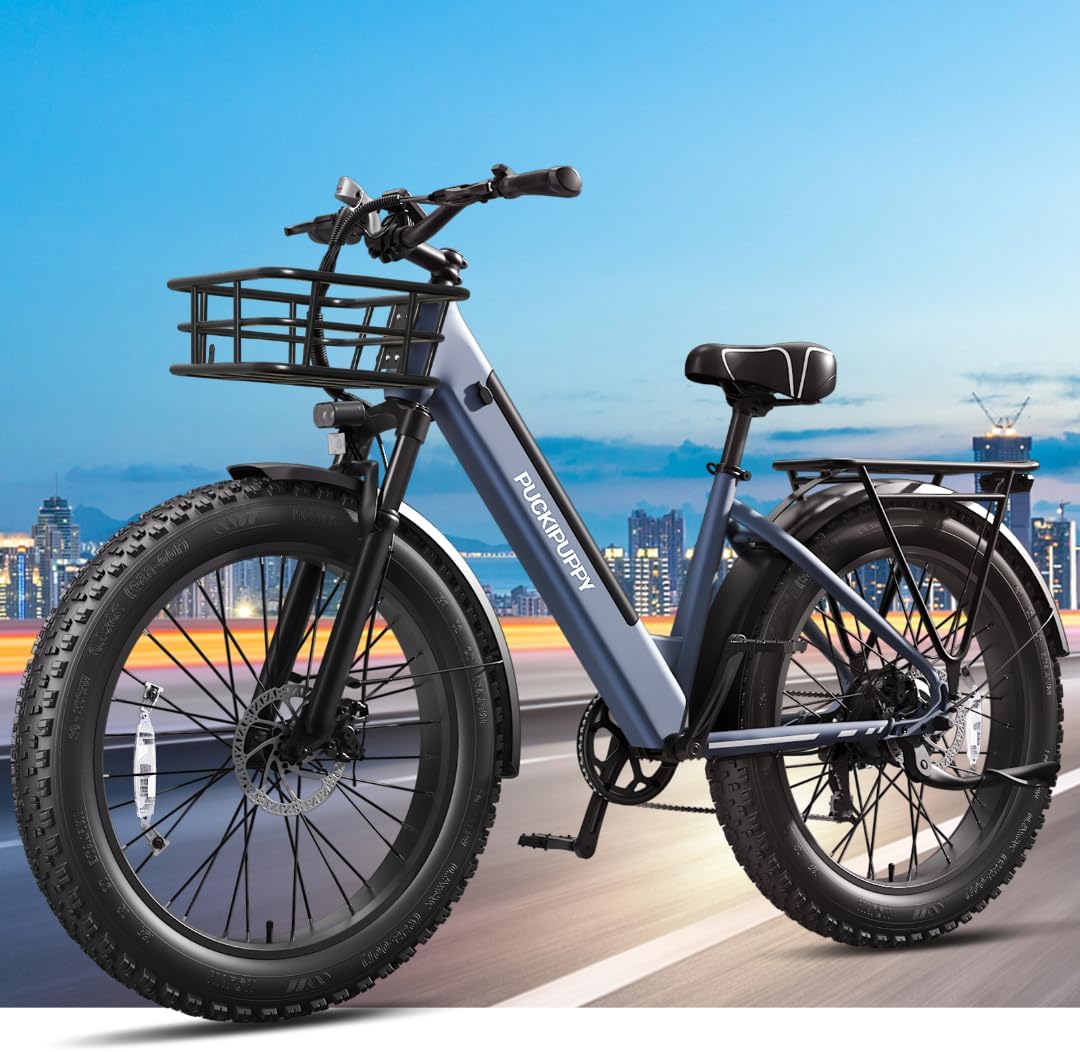 Bicicleta eléctrica Samoyed 960W, 48V 15AH, 60 millas, 26