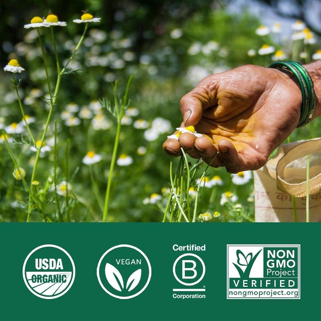 Suplemento ORGANIC INDIA Triphala Powder Apoyo inmunológico