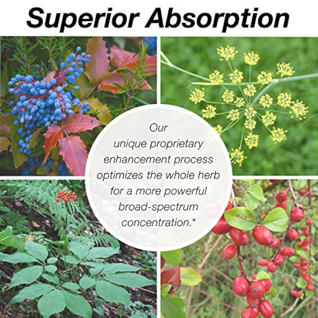 NutraMedix - suplementos nutricionales en gotas