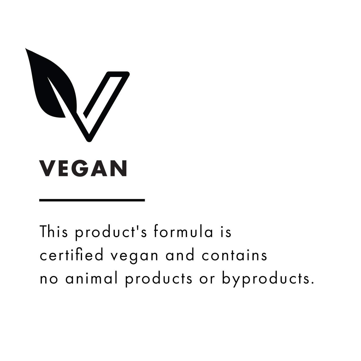 Primer de Maquillaje Spray de ajuste mate de carbón