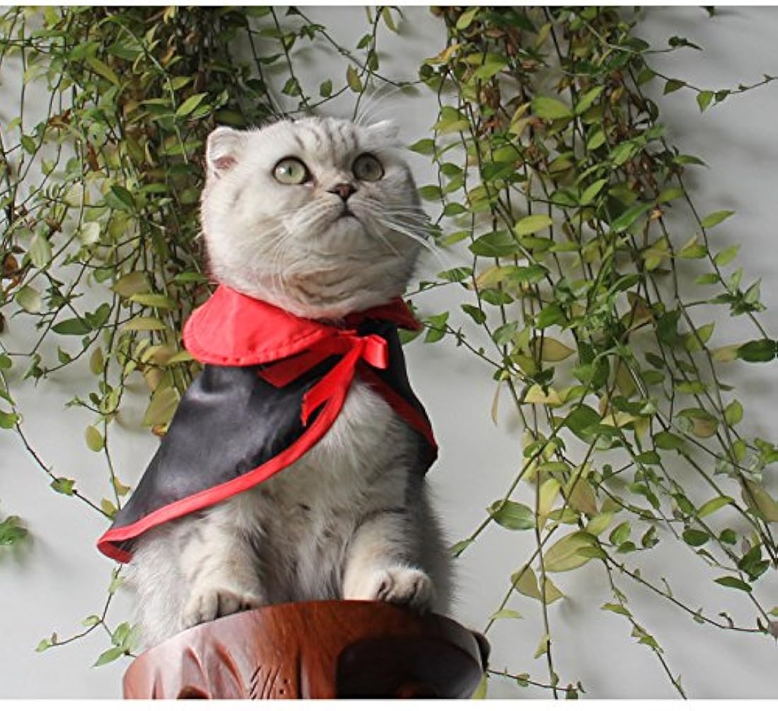 Disfraces de Halloween para mascotas s-lifeeling