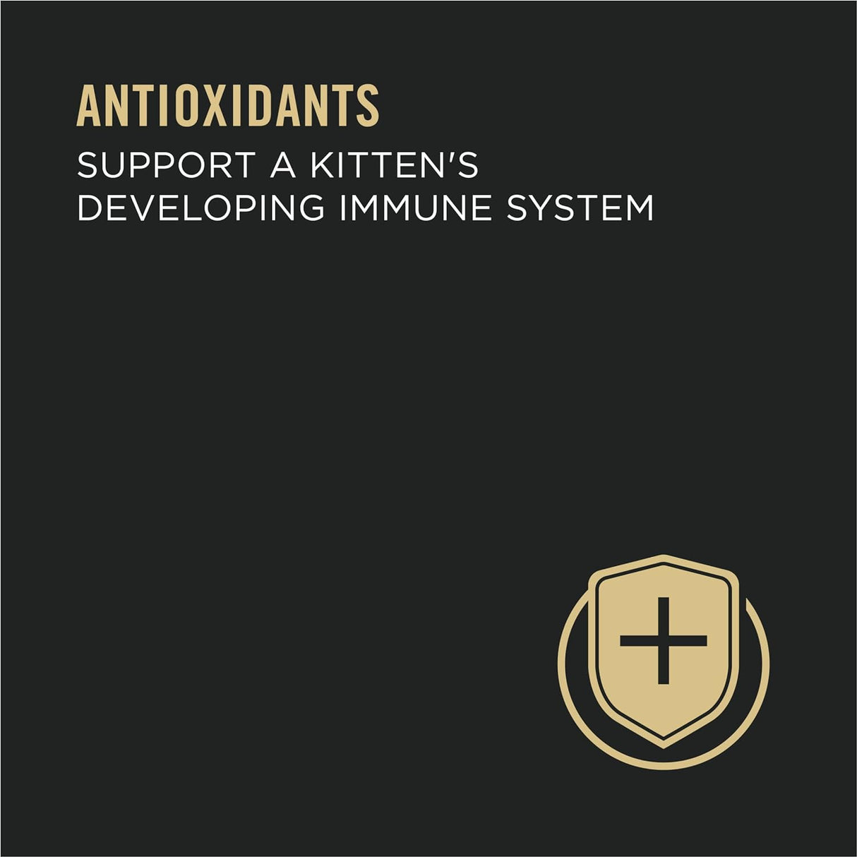 Alimento Purina Pro Plan Comida húmeda para gatos