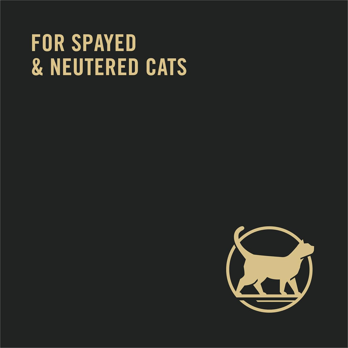 Alimento húmedo para gatos con salsa en proteínas