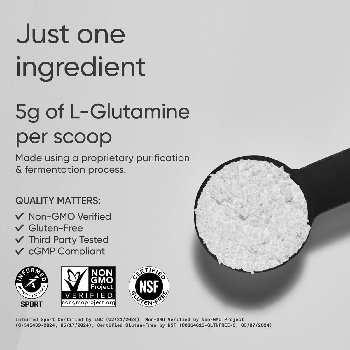 L-Glutamina en Polvo - Sports Research - 5g por Porción - 300g